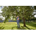 Gardena StarCut Pro S Coupe-branches télescopique (160cm / 32mm) 12080-20