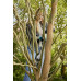 GARDENA EasyCut 110/18V P4A Coupe-branches (1 x 2,0 Ah) 14772-20