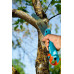 GARDENA Combisystem Scie 300 PP avec le manche télescopique 210-390cm 08737-32