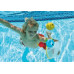 INTEX Jeu de plongée - Poissons avec filet 55506