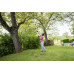 Kärcher TLO 2-18 Cisaille de jardin (18 V/sans batterie) 1.445-340.0