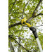 Kärcher TLO 2-18 Cisaille de jardin (18 V/sans batterie) 1.445-340.0