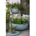 KETER COZIES L Pot, 54 x 54 x 20,4 cm, bleu 17202258