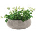 KETER COZIES L Pot, 54 x 54 x 20,4 cm, sable 17202258