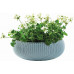 KETER COZIES L Pot, 54 x 54 x 20,4 cm, bleu 17202258