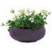 KETER COZIES L Pot, 54 x 54 x 20,4 cm, violet foncé 17202258