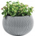 KETER COZIES M Pot de fleur suspendu, 36 x 36 x 22,5 cm, gris 17202379