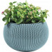 KETER COZIES S Pot de fleur suspendu, 28 x 28 x 18 cm, bleu 17201493