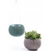 KETER COZIES S Pot de fleur suspendu, 28 x 28 x 18 cm, bleu 17201493