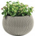 KETER COZIES M Pot de fleur suspendu, 36 x 36 x 22,5 cm, sable 1720237979