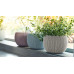 KETER COZIES TRIO Pots de fleurs 3pcs, 15,5 x 15,5 x 10,5 cm, violet, bleu, gris 17202587