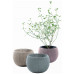 KETER COZIES TRIO Pots de fleurs 3pcs, 15,5 x 15,5 x 10,5 cm, violet, bleu, gris 17202587