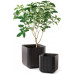 KETER CUBE PLANTER M Pot, 29,5 x 29,5 x 29,7 cm, marron 17202066