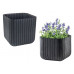 KETER CUBE PLANTER M Pot, 29,5 x 29,5 x 29,7 cm, antracite 17202066