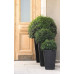 KETER RATTAN PLANTER M 55,4L Pot moyen, 38,5 x 57 cm, anthracite 17192301