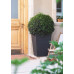 KETER RATTAN PLANTER L 144,8L Pot grand, 53 x 73 cm, marron 17192302