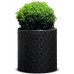 KETER LARGE CYLINDER Pot, 43,7 x 43,7 x 44,3 cm, rotin, anthracite 17197837