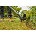 Stanley SFMCST925B-XJ FatMax V20 Coupe-bordure (25cm/18V/sans batterie ni chargeur)