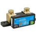 Victron Energy SmartShunt Moniteur de batterie 300A SHU050130050
